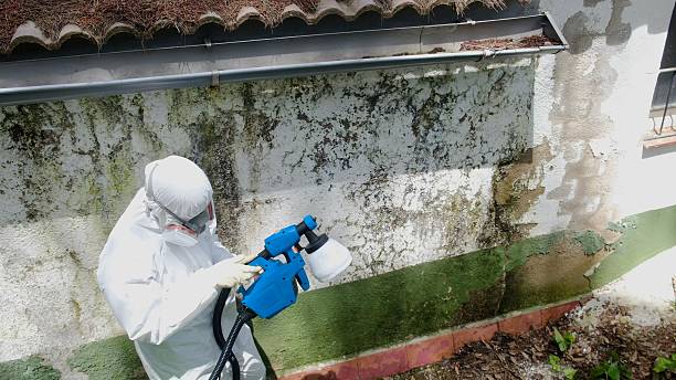 Top rated local Mold Remediation specialists in Garland, NC